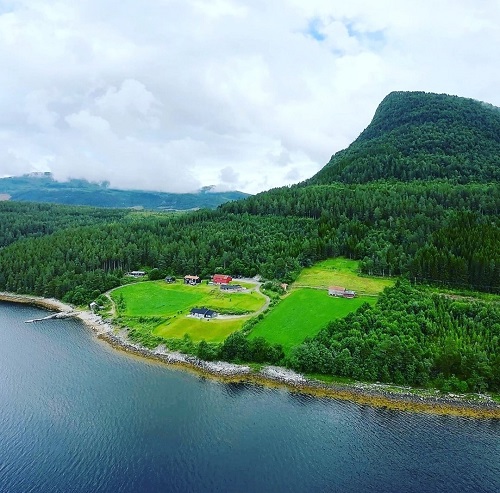 Todalsfjord Norwegen Ferienhaus A 16 Aussenansicht Wald Lage Fjord Haus
