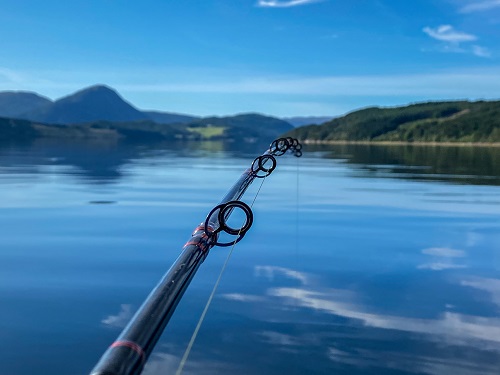 Todalsfjord Norwegen Ferienhaus A 19 Natur Fjord Angeln