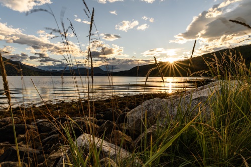 Todalsfjord Norwegen Ferienhaus A 19 Natur Fjord Strand