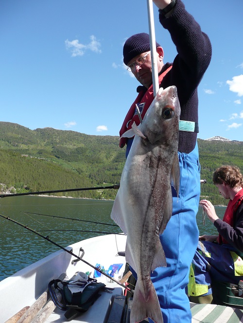 Todalsfjord Fisch20