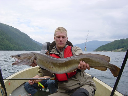 Todalsfjord Fisch28