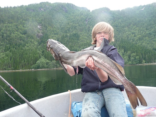 Todalsfjord Fisch3