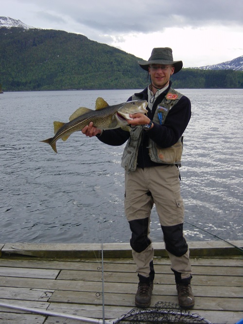 Todalsfjord Fisch4