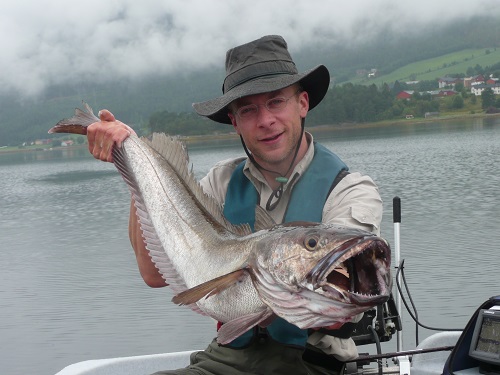 Todalsfjord Fisch43