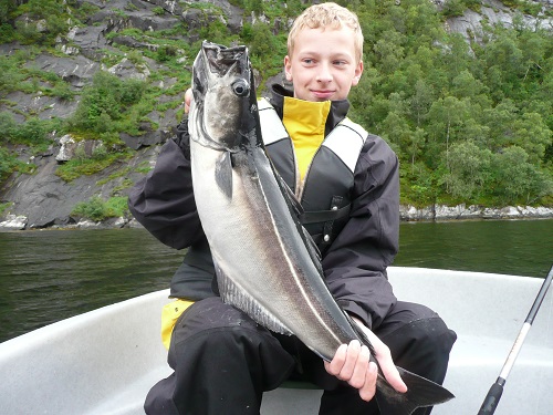 Todalsfjord Fisch44