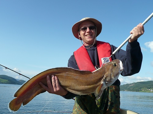 Todalsfjord Fisch52