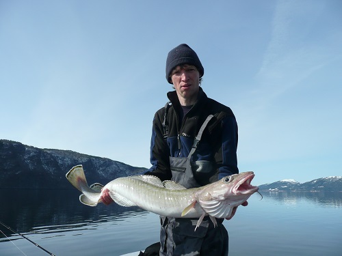 Todalsfjord Fisch68