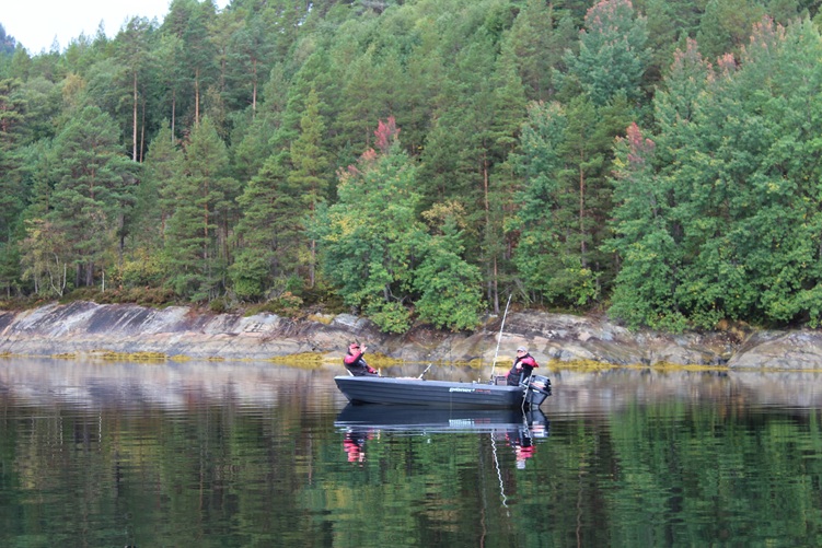 Todalsfjord Boot Steg Pioner 15 1.JPG