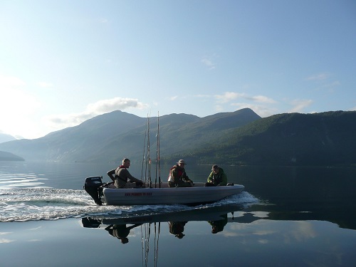 Todalsfjord Pioner Boot 15