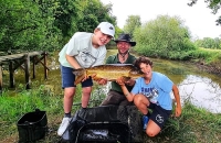 Angeln praktisch lernen - Angelworkshop 2026-II.
