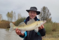 Raubfischangeln am großen Strom - Zander Angeln mit Gummifisch - Kurs Spinnfischen VIII./26
